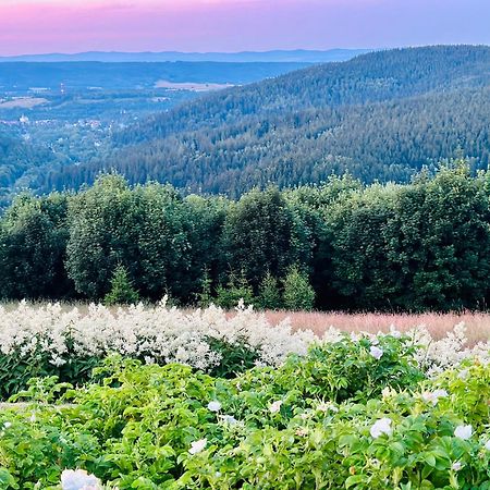 Apartamenty Innwersja Duszniki Zdrój Esterno foto