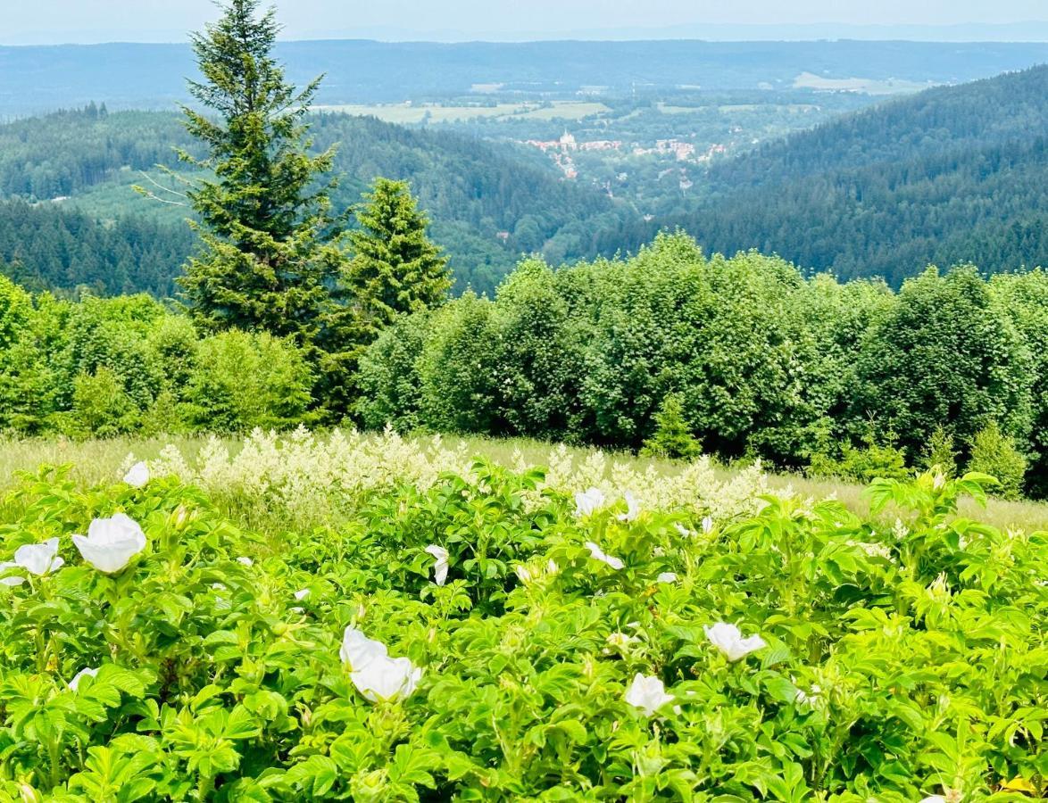 Apartamenty Innwersja Duszniki Zdrój Esterno foto