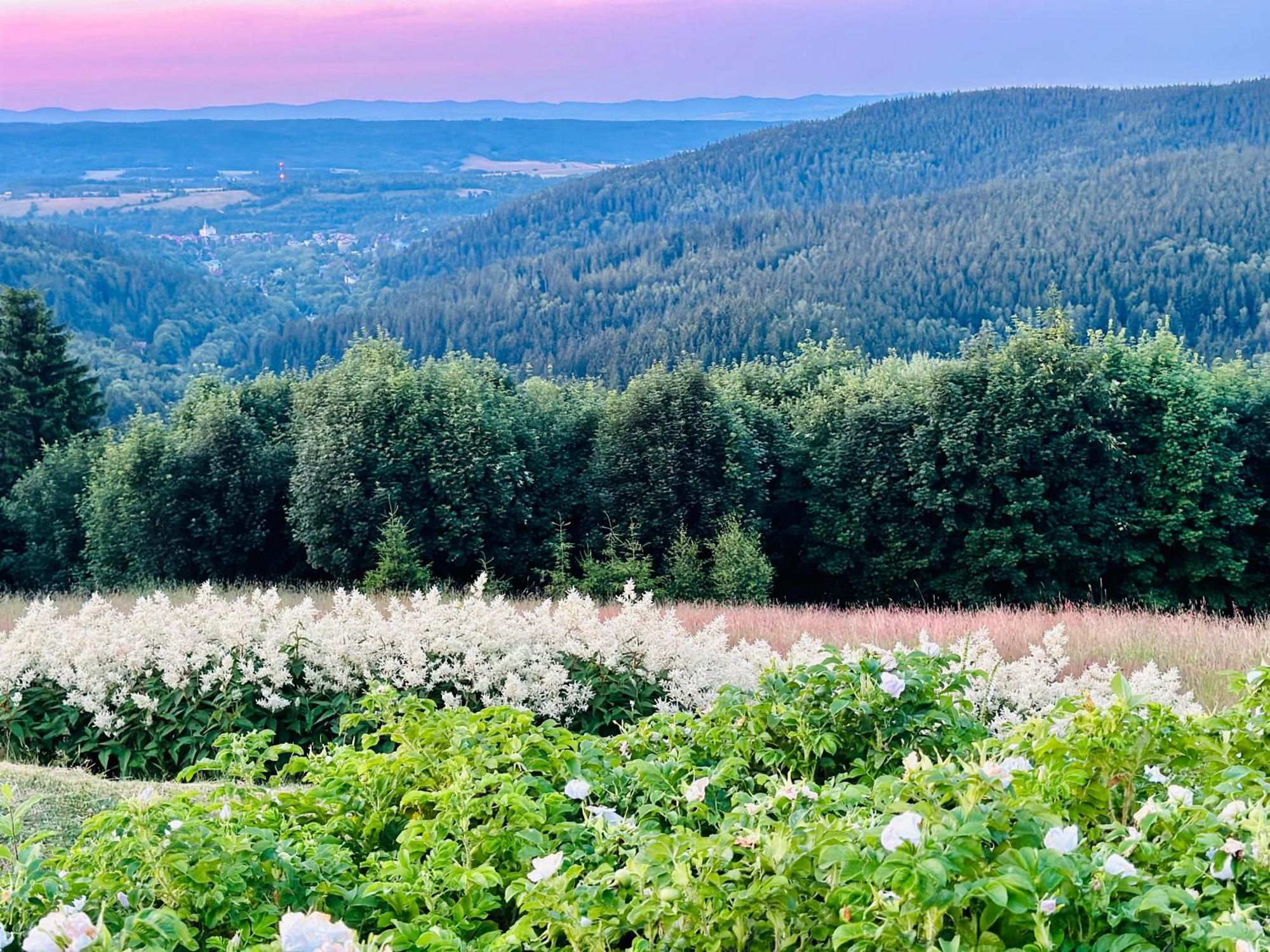 Apartamenty Innwersja Duszniki Zdrój Esterno foto