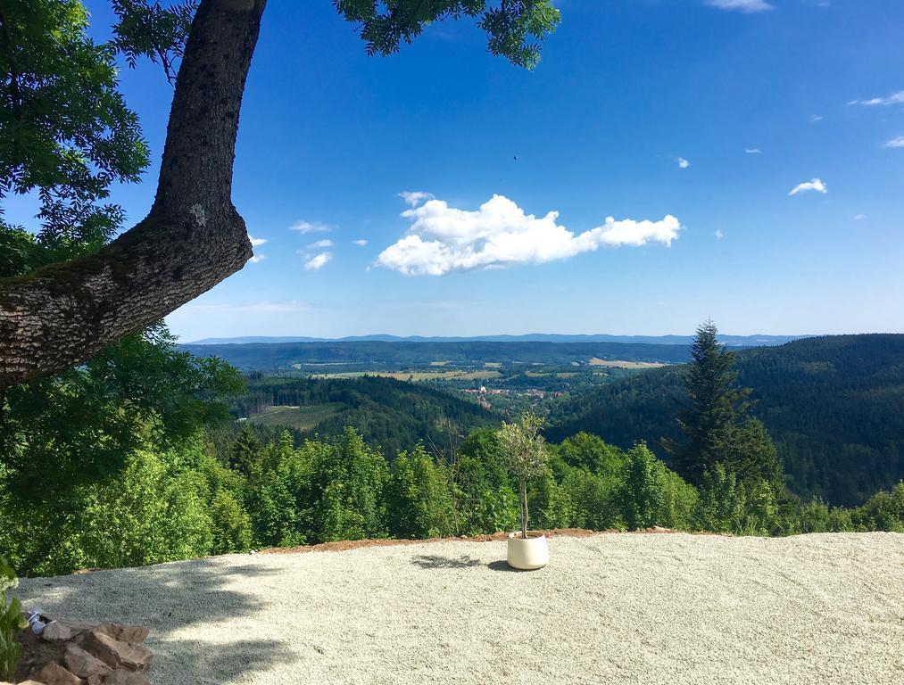 Apartamenty Innwersja Duszniki Zdrój Esterno foto