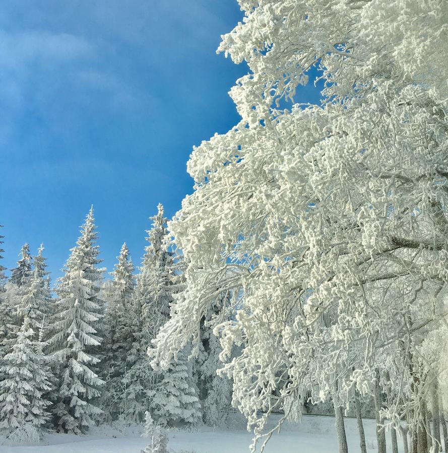 Apartamenty Innwersja Duszniki Zdrój Esterno foto